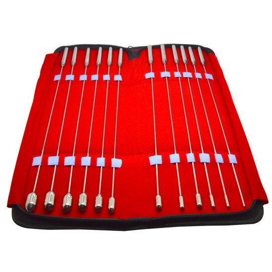 Rosebud Urethral Sounds Kit